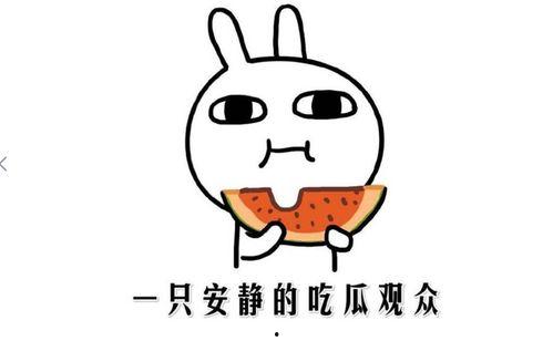网上吃瓜什么意思,揭秘“吃瓜”背后的网络文化现象